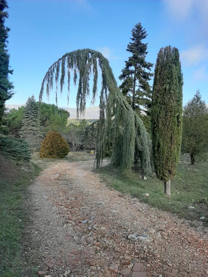 Domaine De La Xavoliere Hotel Saint-Cézaire-sur-Siagne Buitenkant foto