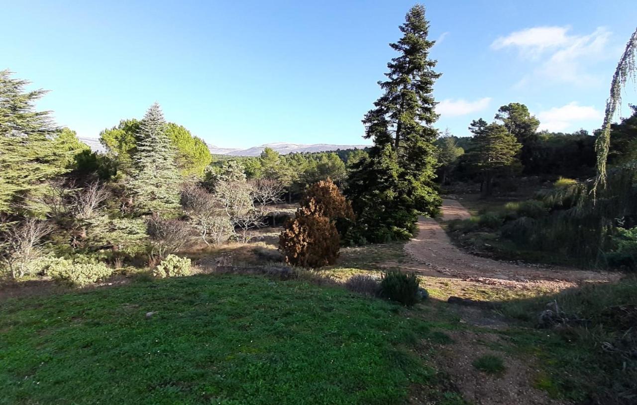 Domaine De La Xavoliere Hotel Saint-Cézaire-sur-Siagne Buitenkant foto