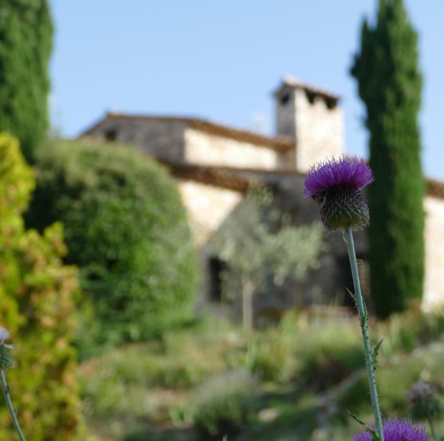 Domaine De La Xavoliere Hotel Saint-Cézaire-sur-Siagne Buitenkant foto